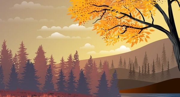 快手极速版自动看广告秘籍，创业致富网真假辨析