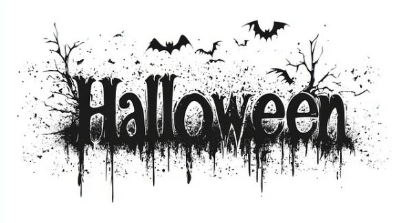 互联网创业论坛热议：网赚项目网与网络赚钱教程的热门话题