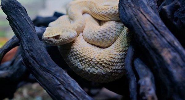 创业网致富网真相探索：真实网络赚钱项目与创业网大全的权威解析