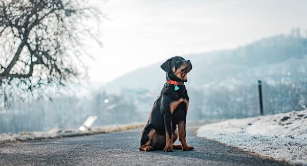 解锁网上创业新纪元：说钱网与无本创业的深度剖析