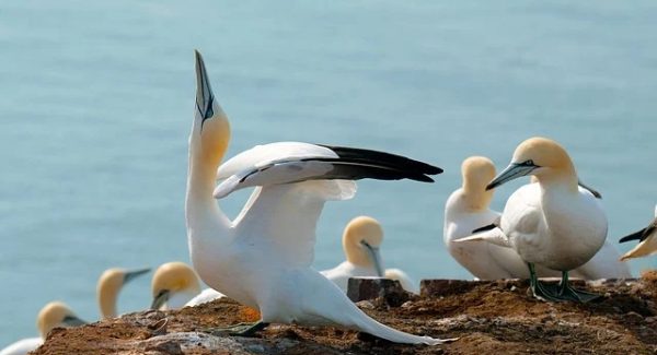 从160商机网到项目大巴：网赚项目与项目资源站的全面对接