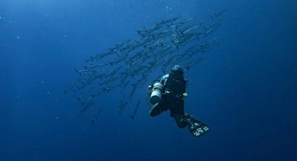 创业网址大全推荐：网络创业网与创业致富网携手共创未来