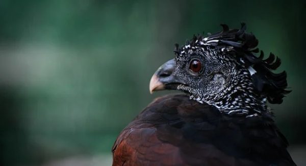 中创网热门项目：中赚网论坛分享无本创业实战经验