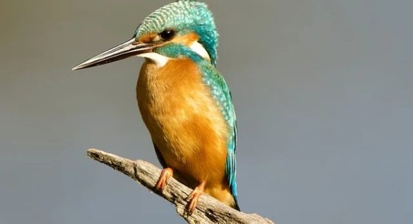 创业网络新纪元：最新赚钱项目与创业项目论坛的碰撞