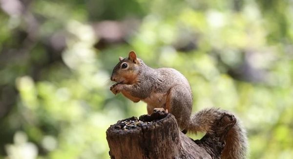 冒泡创业网新启示：网上创业赚钱与SEO资源的深度整合