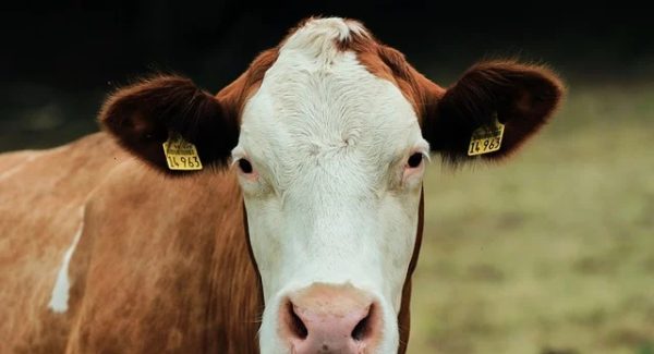 东哲致富网赚论坛深度剖析：450个搞钱玩法大合集