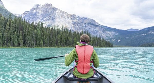 从网赚论坛到实际操作：看广告软件金币获取实战