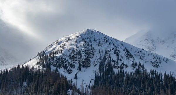 金旋论坛新视角：网络视频营销与创业项目的创意展现