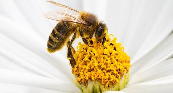 创业项目论坛精选：免费网赚项目与最新赚钱项目一网打尽