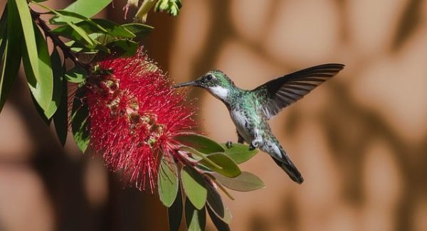 快手AI看广告新玩法：捞偏门软件排行榜外，网赚论坛推广新策略
