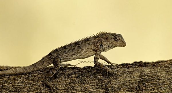 福缘网赚携手冒泡网，共创网赚新纪元