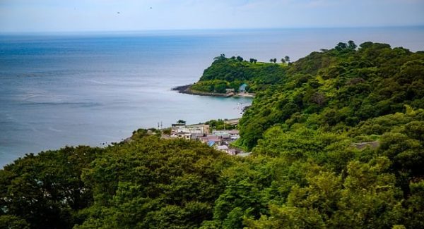 快手极速版自动看广告技巧，创业致富网真实评测