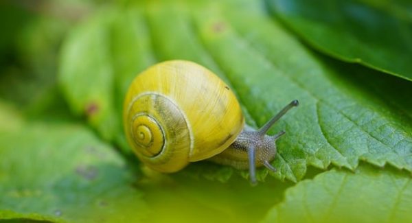 网站赚钱新策略：网站优化课程与百度快速排名的双重突破