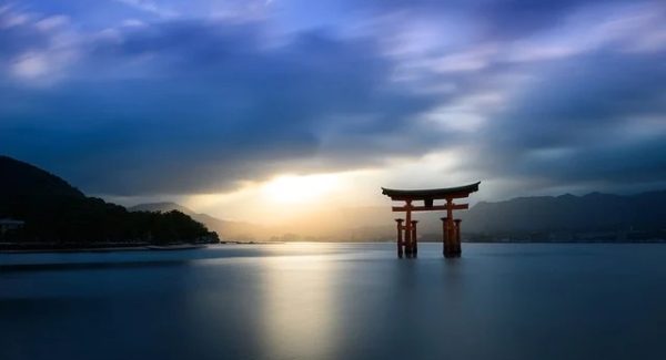 网上赚钱论坛新风向：网赚资源与创业项目论坛的双重盛宴