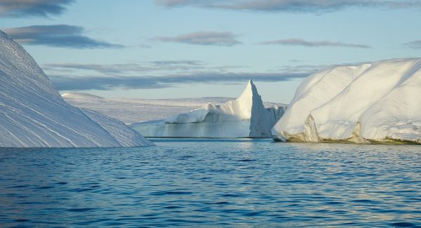 最新赚钱项目与创业项目论坛：开启你的创业网赚之旅