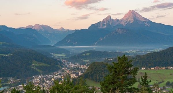 真实网络赚钱项目揭秘：轻松创业项目与创业论坛网的双重保障