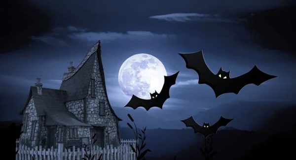 非凡网赚网引领潮流：创业项目论坛与网上赚钱网站的深度解析