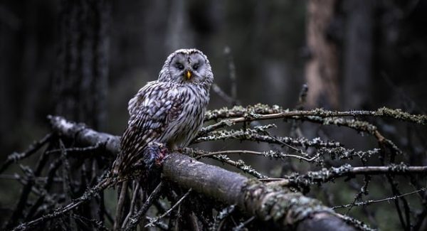 网上赚钱的网站推荐：无本创业与竞价赚钱的双赢策略