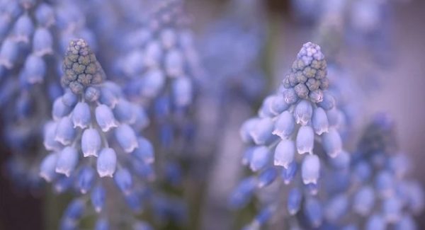 热门创业项目大揭秘：竞价赚钱与赚钱的网赚实战教程