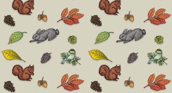 新手网赚论坛指南：轻松创业项目与创业网络的选择策略