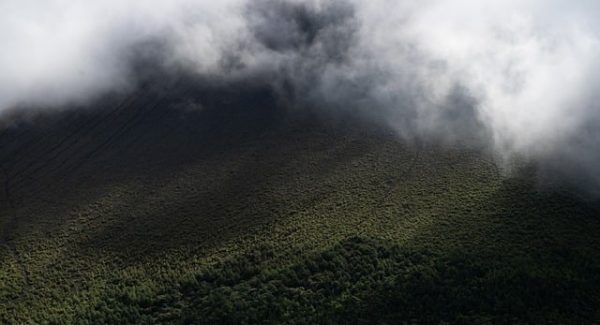 致富网赚东哲实战分享：揭秘中创网vip资源的免费下载与利用