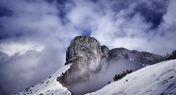 网上创业赚钱秘籍：免费网上赚钱与最新网赚项目的实战分享