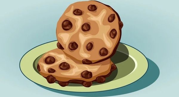 中创网热门项目解析：中赚网与中创网络共筑创业蓝图