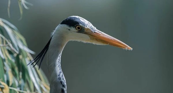 项目网新机遇：小鱼项目网与小淘网赚论坛的创业之路