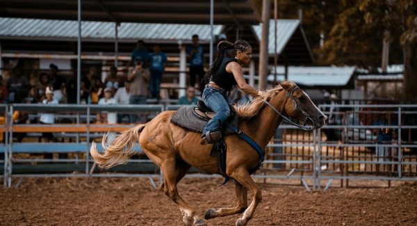 福缘网赚揭秘：网赚项目平台与资源站加盟的赚钱奥秘