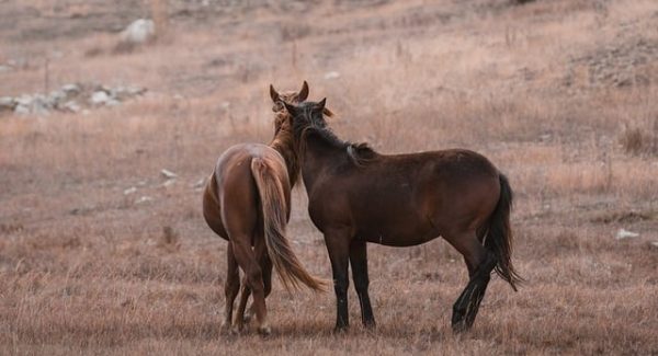 看广告软件金币攻略：揭秘网赚达人论坛的赚钱秘诀