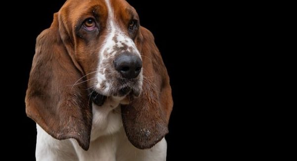 冒泡网创财富路：网易云刷单赚钱与音乐播放量赚钱的双重攻略