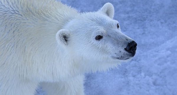 深度网赚论坛探索：网赚培训与创业故事论坛的灵感碰撞