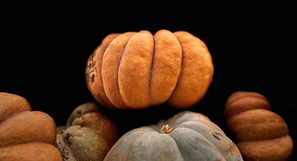 深入网赚背后的故事：揭秘捞偏门软件排行榜与游戏直播陪跑的真相