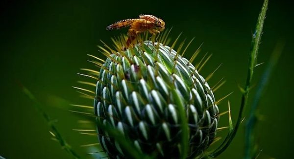 加速器项目新机遇：中创网与福缘网赚携手打造高效网赚平台