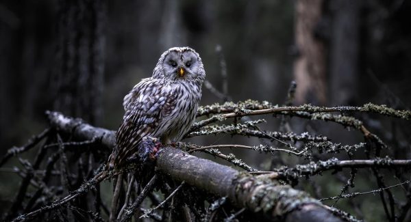 一公斤网赚论坛揭秘：福缘网赚与创业好项目论坛的深度交流