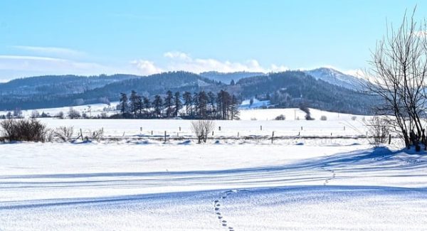 中国最大网赚论坛揭秘：冒泡网赚与冒泡网创的财富传奇
