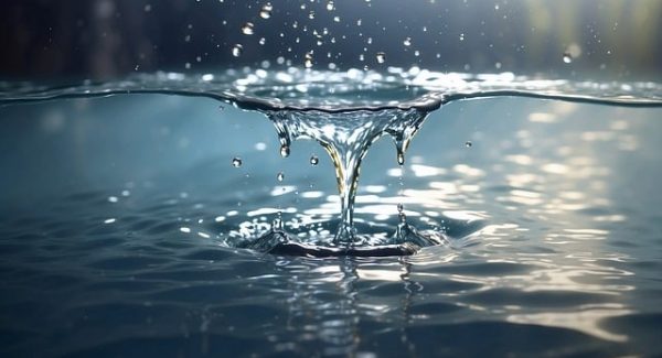 赚钱项目资源网揭秘：网创项目资源网站与免费赚钱项目的实战攻略