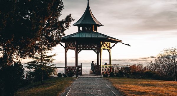 老年人学AI绘画新风尚：结合网赚达人论坛的赚钱新途径