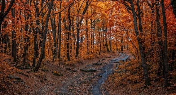 打码录入兼职平台大揭秘：福缘网赚与东哲致富网赚的优劣对比