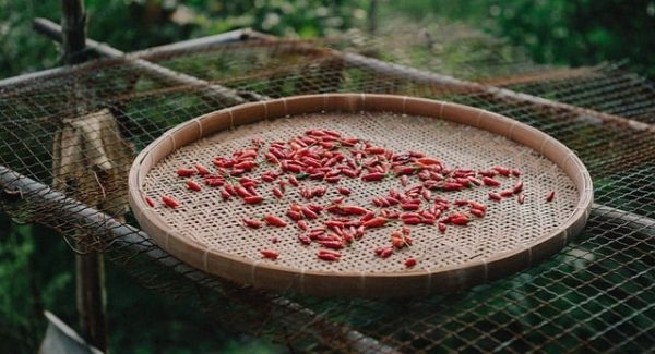 网易云刷单赚钱与冒泡网的音乐播放量赚钱实战分享