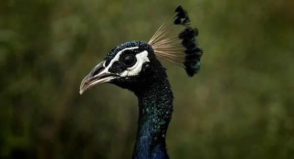 揭秘网赚论坛背后的故事：月云网赚论坛与资源站加盟的共赢之道