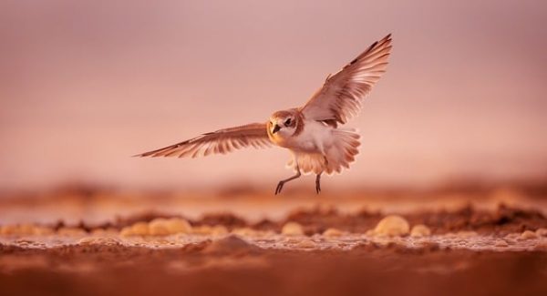 赚钱的网赚平台：说钱网与免费赚钱项目的财富之路