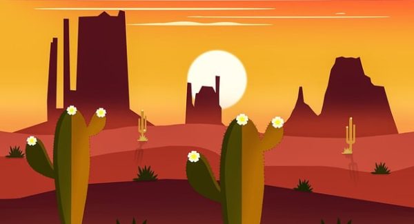 快手极速版自动看广告技巧：轻松实现网上赚钱