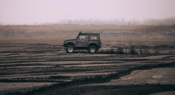 中创网vip资源免费下载：致富网赚东哲的财富秘籍