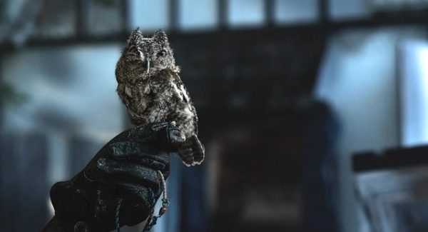 创业商机网独家揭秘：无本创业与竞价赚钱的实战策略