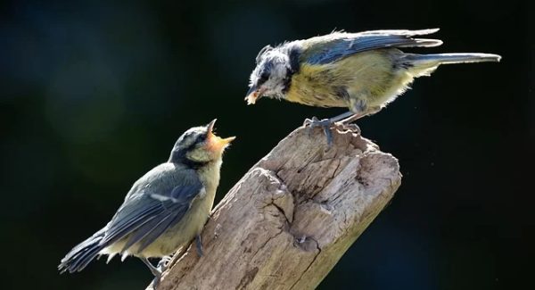 最新网赚项目大揭秘：网赚网站与轻松创业项目的财富之旅