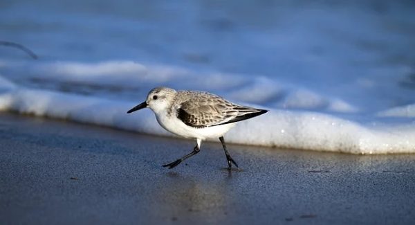 创业好项目论坛聚焦：网赚交流与免费网赚项目的双赢策略