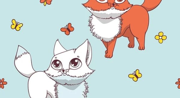 福缘创业网新篇章：福缘网赚与福缘网站论坛的创业交流