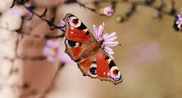 互联网创业论坛聚焦：月云网赚论坛与项目资源站的共赢策略