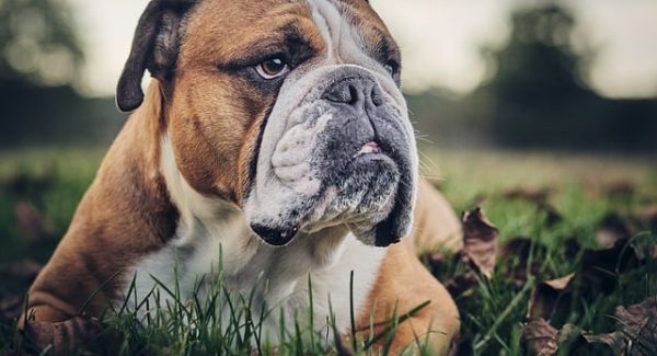 非凡网赚网与免费网上赚钱：揭秘最新的网赚项目